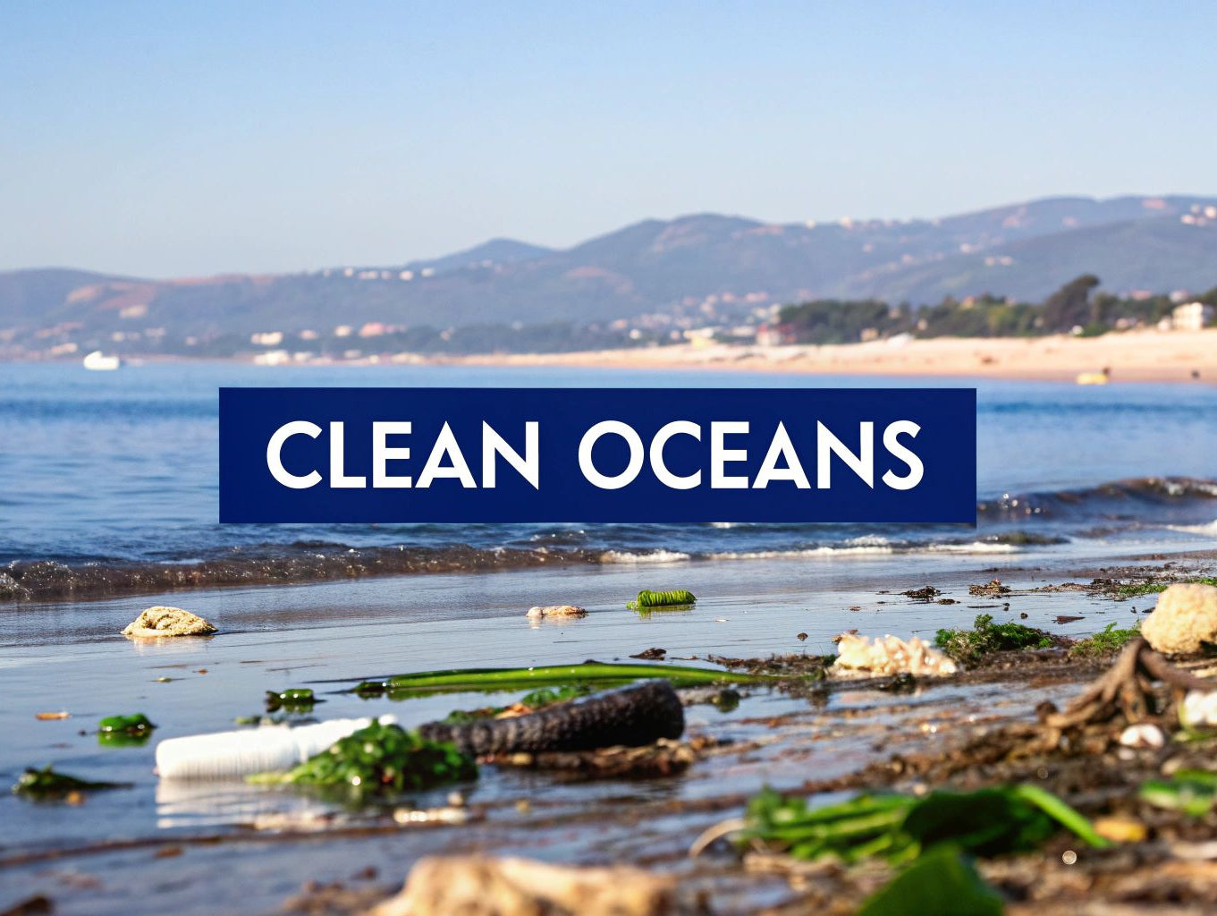 How to Prevent Marine Pollution: Essential Steps to Act Now