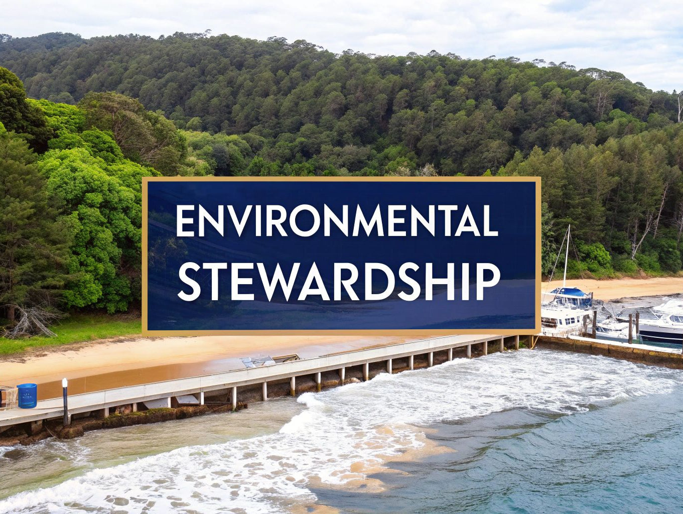 What Is Environmental Stewardship? An Actionable Guide
