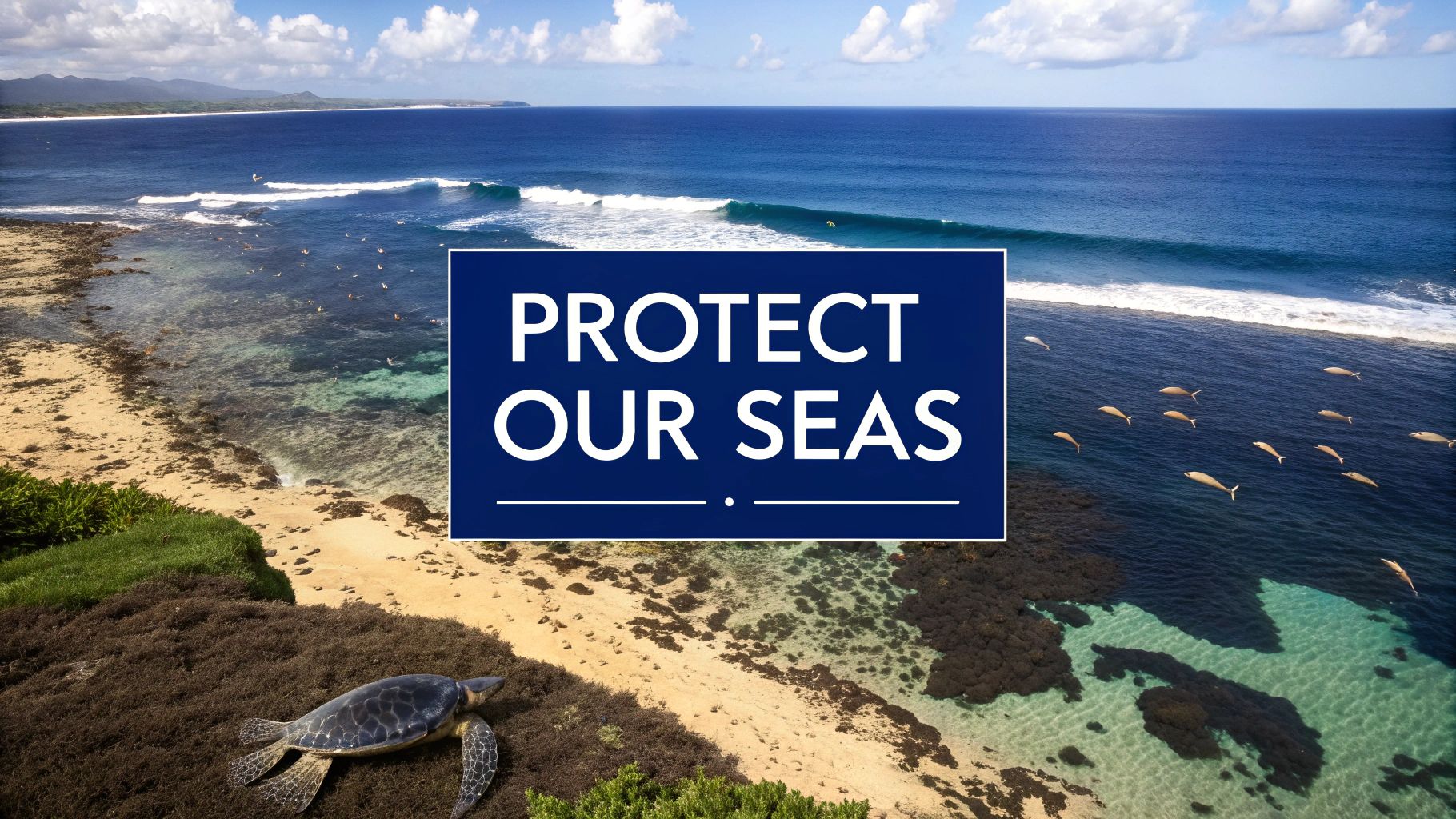 How to Prevent Marine Pollution: Simple Ways to Protect Oceans